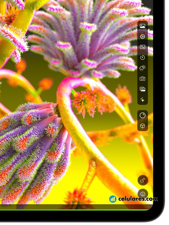 Imagen 8 Tablet Apple iPad Pro 13 (2024)