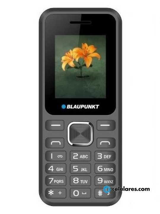 Blaupunkt FS 04