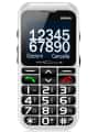 Brondi Amico Elegant 2
