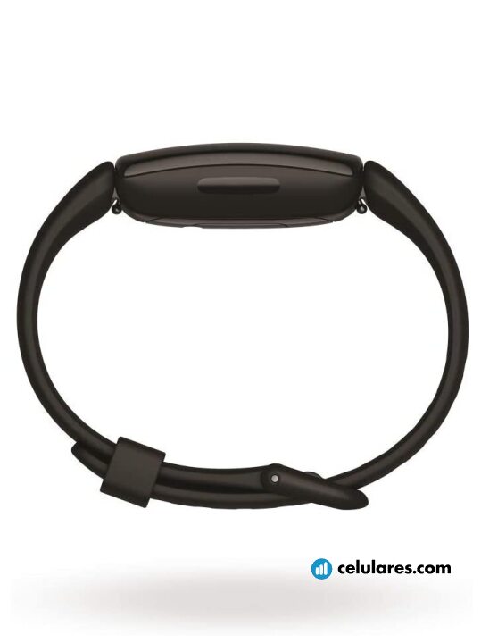 Imagen 5 Fitbit Inspire 2