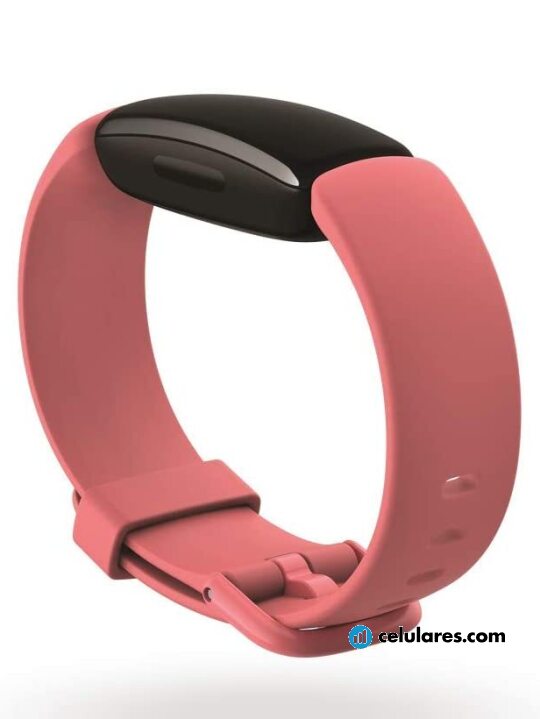 Imagen 6 Fitbit Inspire 2