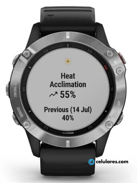Garmin Fenix 6