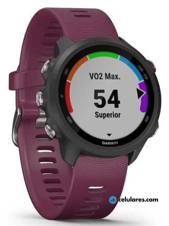 Imagen 2 Garmin Forerunner 245