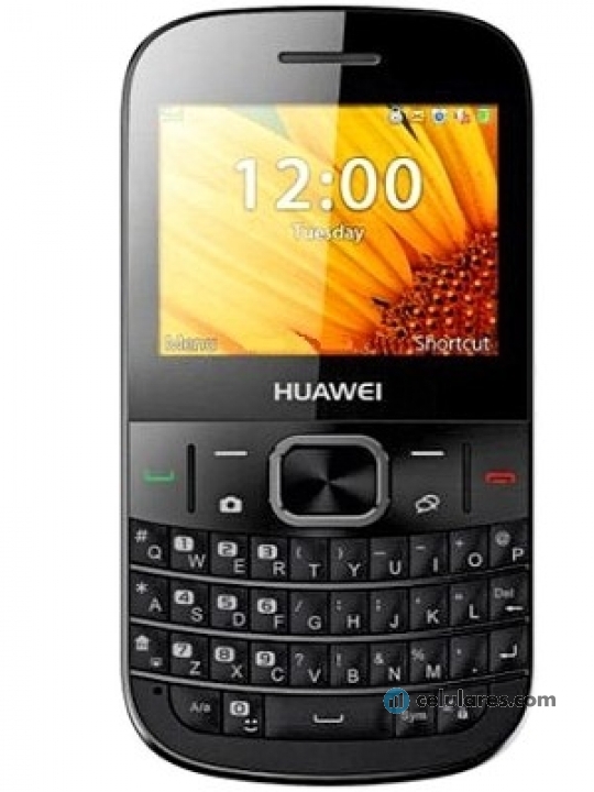 Huawei G6310