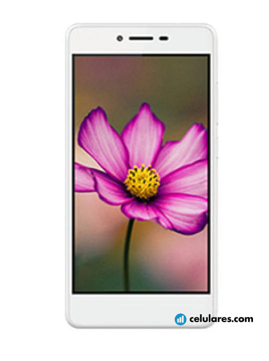 Intex Aqua Costa