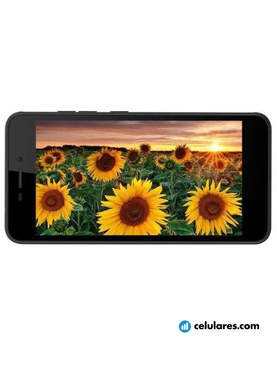 Intex Aqua Zenith