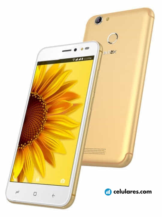 Imagen 2 Intex Uday