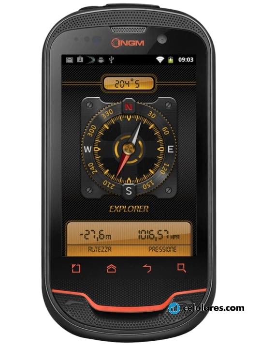 NGM Explorer