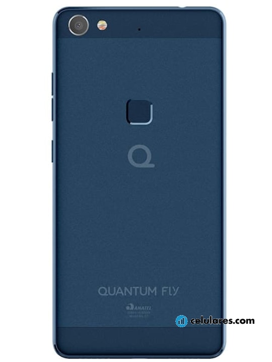 Imagen 3 Quantum Fly