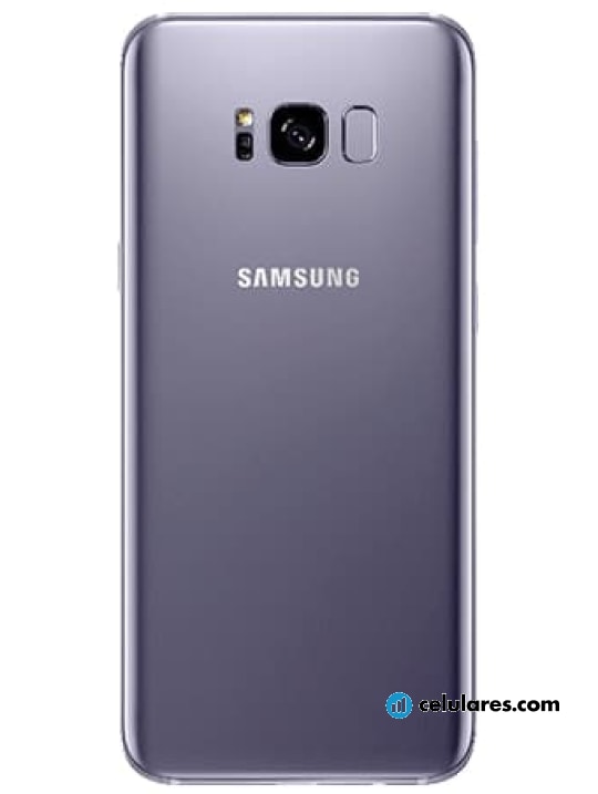 Samsung Galaxy S8+ (Samsung Galaxy S8 Plus, G955F, G955FD, G955W, G955) -   Estados Unidos