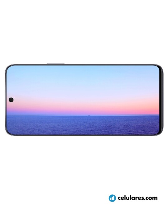 Imagen 4 Honor X20 SE