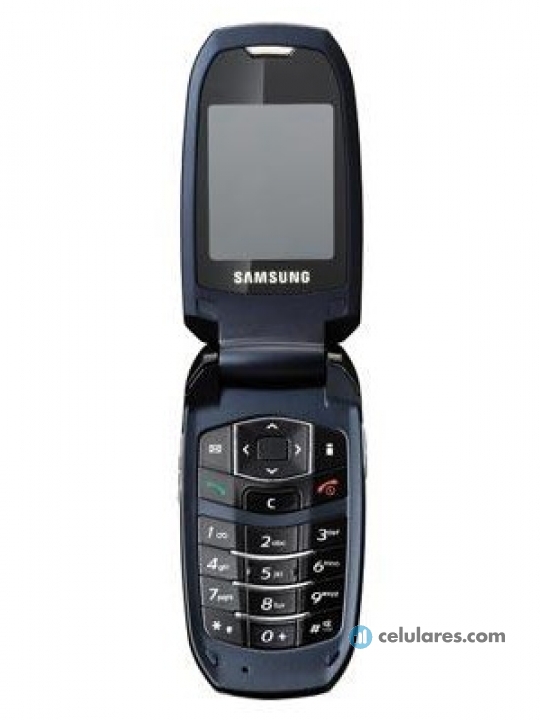 Samsung S501i