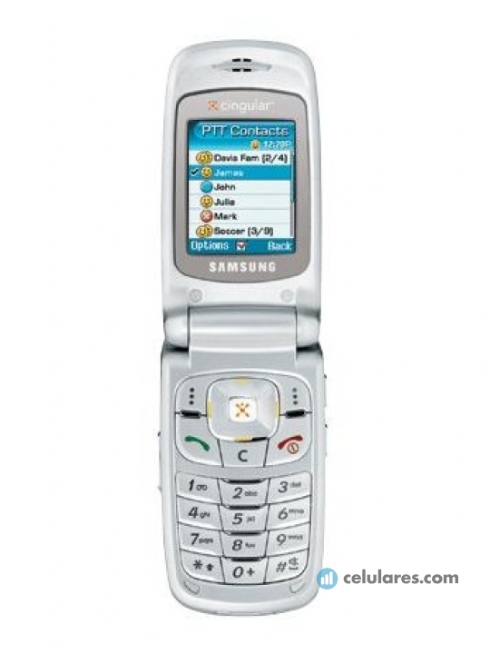 Samsung SGH-D357