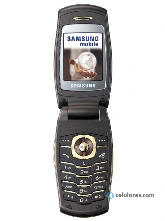 Samsung SGH-E500 LaFleur