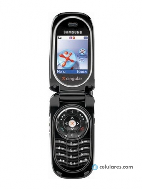 Samsung SGH-P207