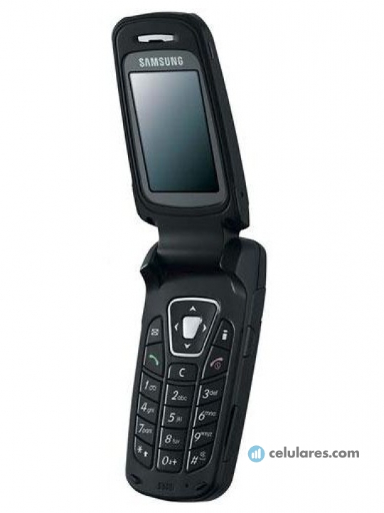 Samsung S500i