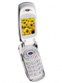 Samsung S300