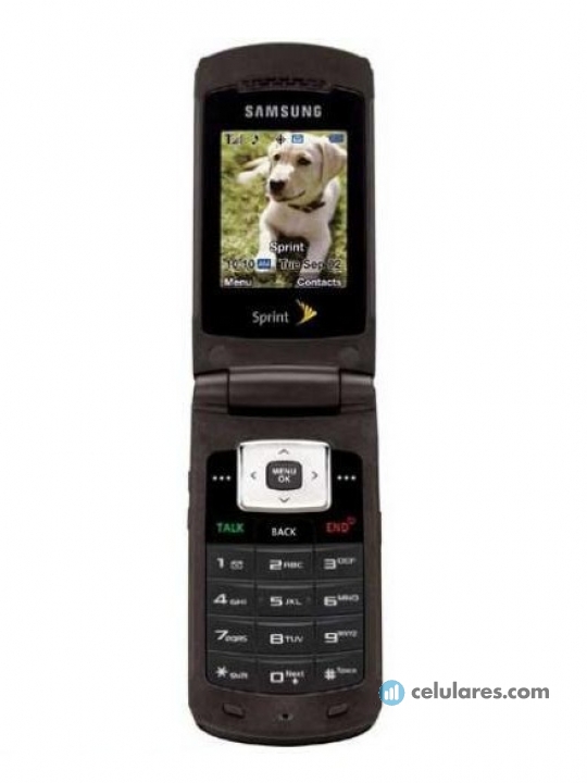 Samsung SPH-M320