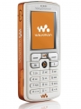 Sony Ericsson W800