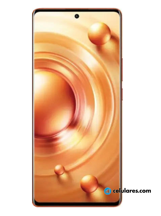 Vivo X80 Pro