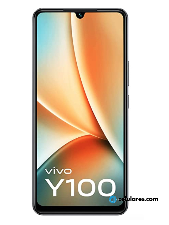 Vivo Y100